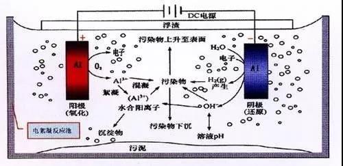 我買了一個甲醛檢測儀，吹口氣后發(fā)現(xiàn)原來我才是“地表最強(qiáng)”污染源！