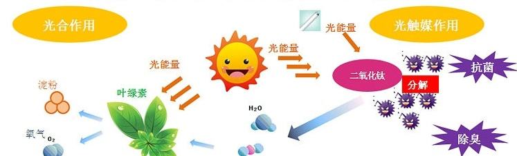 甲醛治理用什么辦法最正確？這三點(diǎn)常見(jiàn)的除甲醛辦法其實(shí)是誤區(qū)