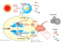 光觸媒除甲醛—專業(yè)甲醛治理多少錢