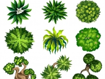 可以?xún)艋覂?nèi)空氣的植物，這二十種您需要好好了解一下！