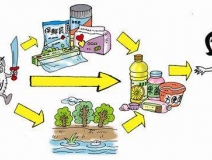 食品中有塑化劑嗎？這些食品中含有大量塑化劑，食用時一定要注意！