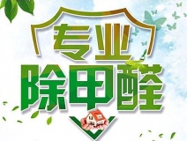 除甲醛公司的專業(yè)性表現(xiàn)在哪些方面？