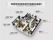 這種除甲醛公司能叫專業(yè)？創(chuàng)綠家必須要說話了