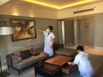 甲醛治理行業(yè)小知識有哪些？