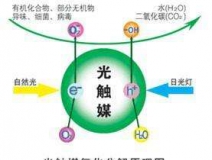 您知道或者聽說過光觸媒嗎？