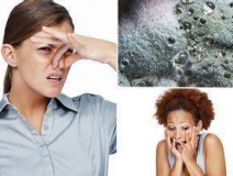 家里有異味怎么辦？科學(xué)除味、治理甲醛就對(duì)了！