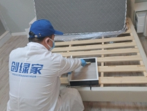 偏方真的能除甲醛嗎？