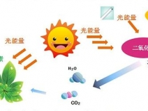 光觸媒去除房間甲醛爭(zhēng)議很大？