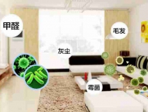 網(wǎng)上的除甲醛好辦法真的有效嗎？原理是什么