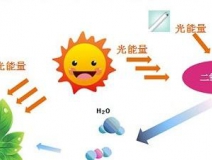 無(wú)光觸媒和光觸媒有什么區(qū)別？