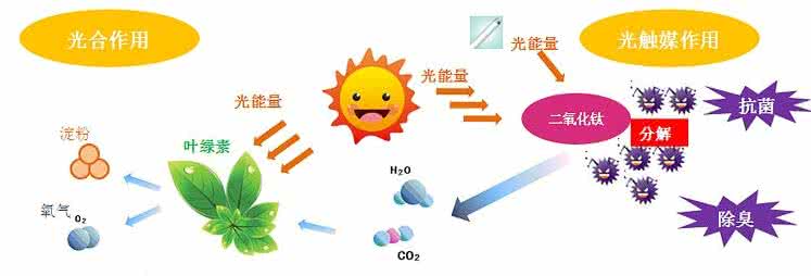 家中甲醛超標(biāo)，什么才是甲醛治理的正確姿勢(shì)？